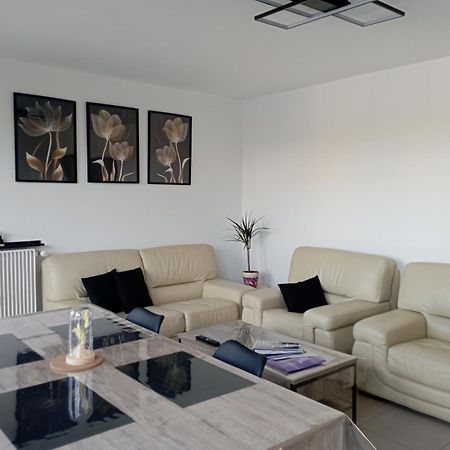 Le Belle Vue Apartment Saint-Etienne  Ngoại thất bức ảnh