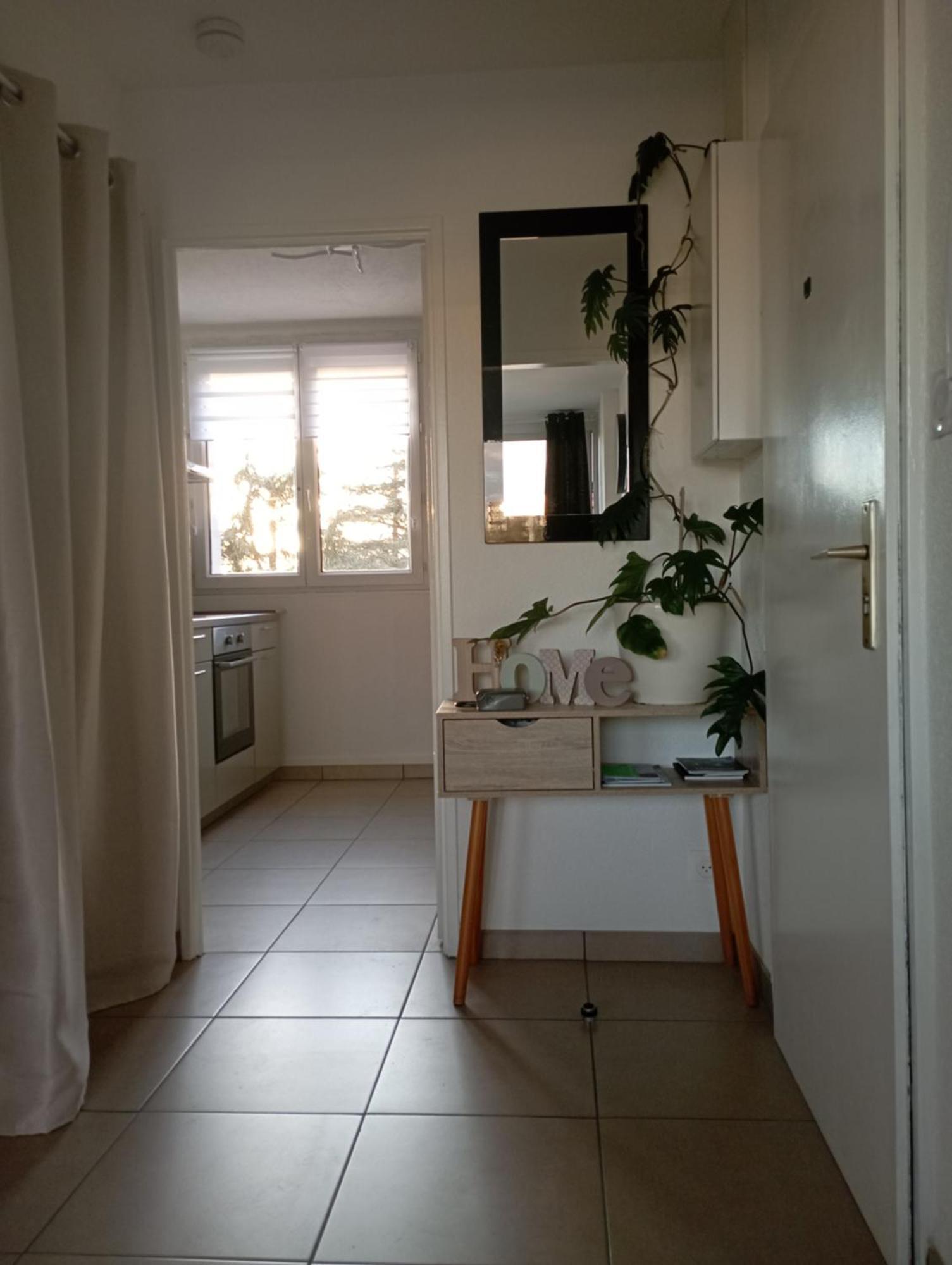 Le Belle Vue Apartment Saint-Etienne  Ngoại thất bức ảnh